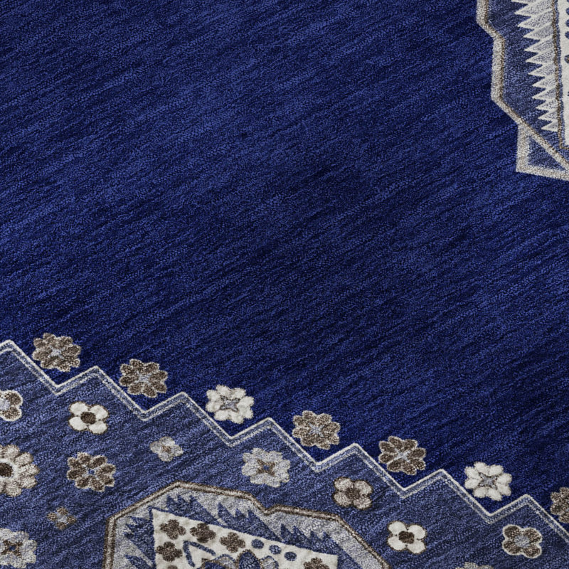 Premium Machine Washable Guada AMF1014 Oriental Rug, Rectangle 10' x 14'