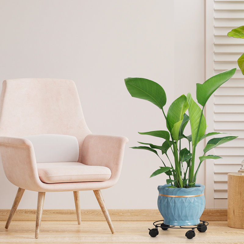Support pour plante de jusuf