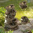 Wanamie Resin Decorative 4 Tier Rock Look Fountain with LED Lights