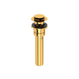 Push Drain with Overflow