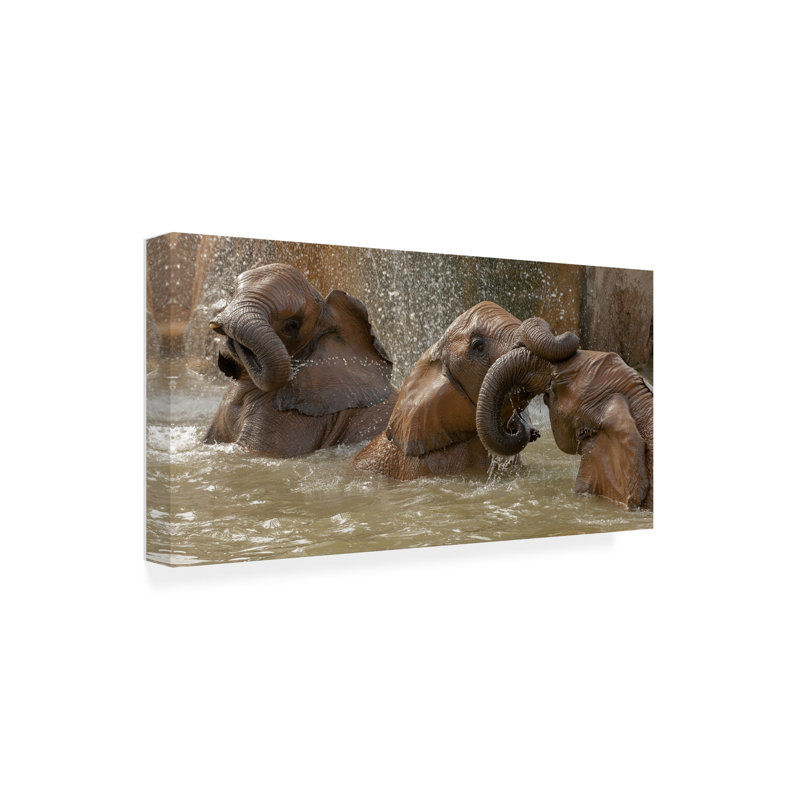 Art mural sur toile tendue - "Bath Time Play" par Marc Pelissier pour le salon, la chambre à coucher ou le bureau - 16 x 32