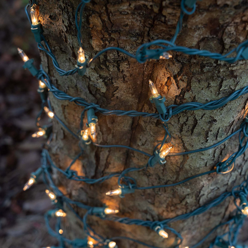 180'' String Lights