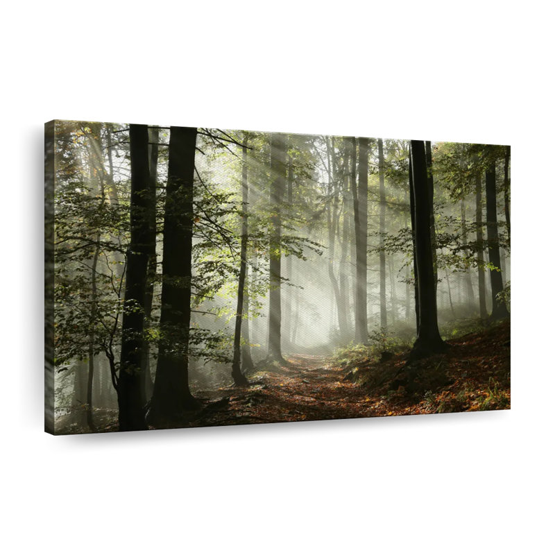 Impression sur toile Forest Forest, H 24 po x l 36 po x P 1,25 po