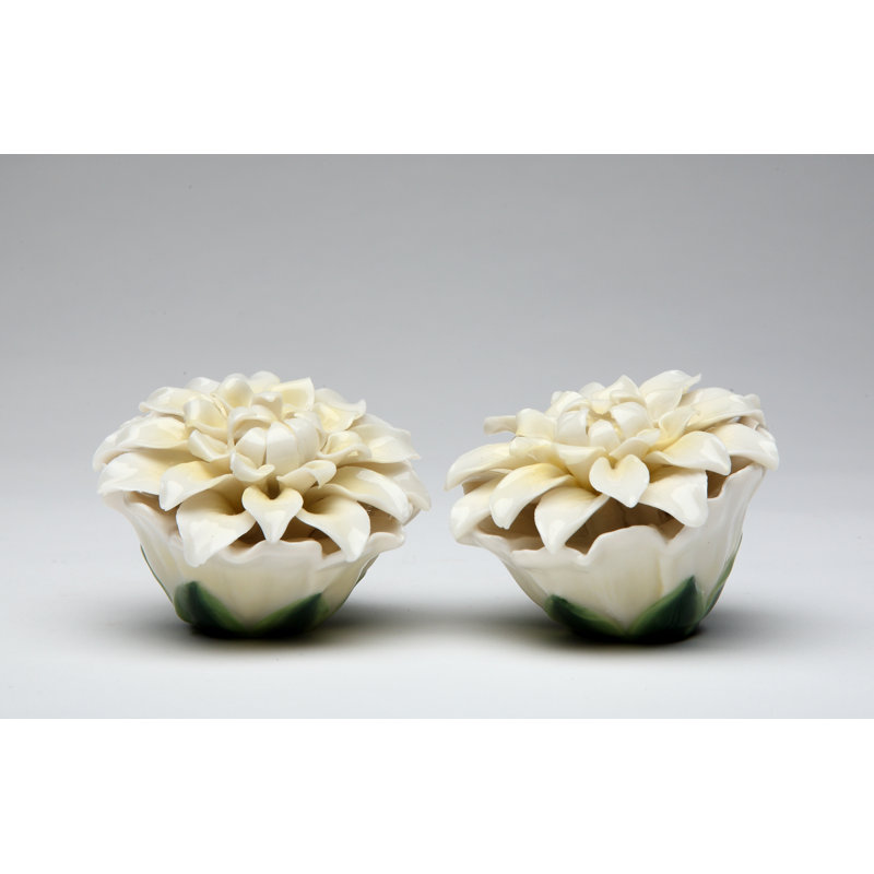 Ensemble de sel et poivre Daisy Cosmos