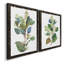 «Seeded Eucalyptus I», ensemble de 2 reproductions d'art sur toile-1047157794-1047157819