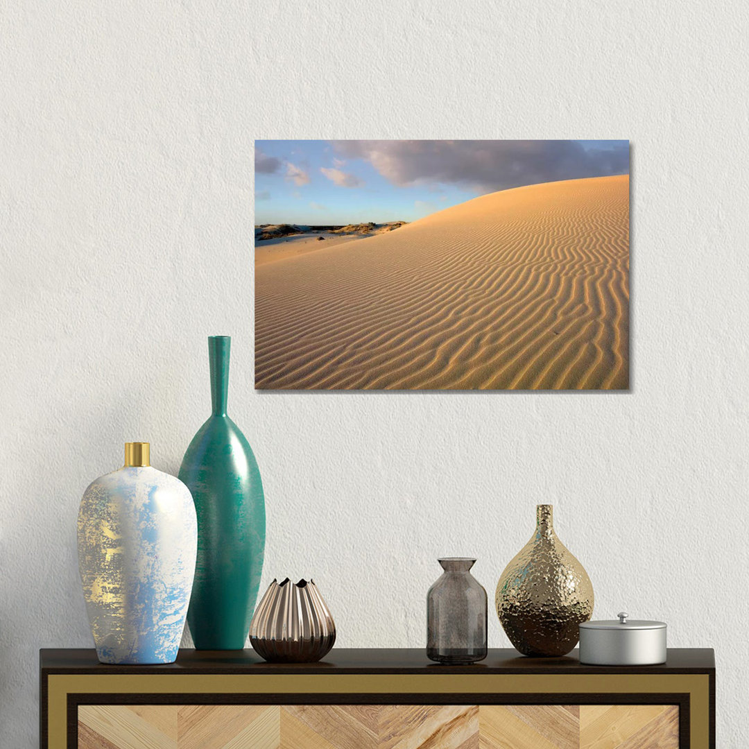 Sanddüne, Monahans Sandhills State Park, Texas von Tim Fitzharris - Galerie-umwickelte Leinwand Giclée ohne Rahmen auf L...