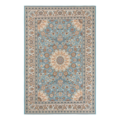 Indoor/Outdoor Traditional Area Rug