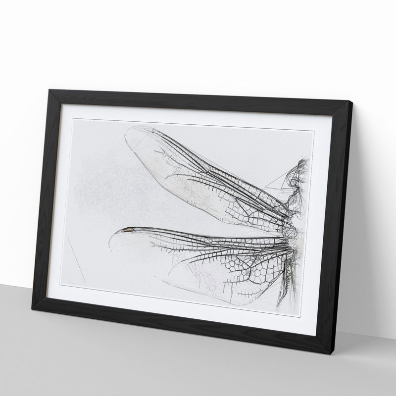 Dragonfly Vol.1 - Picture Frame Graphic Art, 65cm H x 90cm W x 2cm D, Black