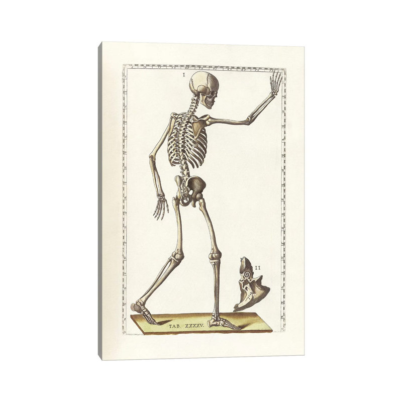 «The Science of Human Anatomy VI» par National Library of Medecine, impression sur toile tendue, H 12 po x l 8 po x P 0,75 po