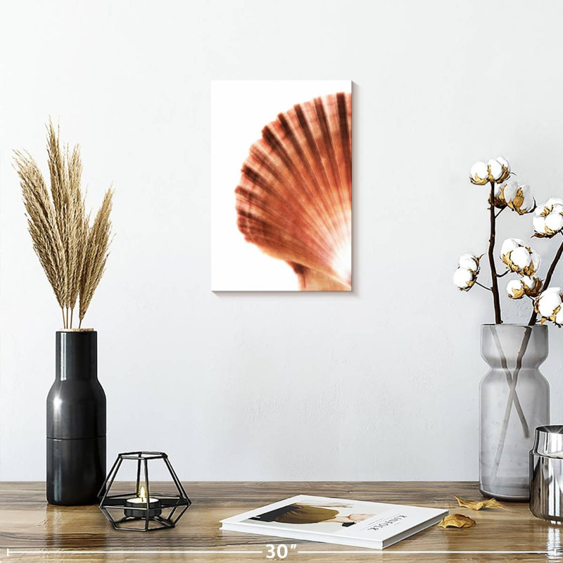 Scallop seashell ii Aletra, H 12 po x l 8 po