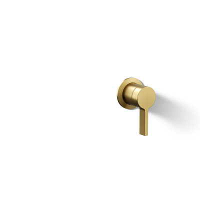 Components Wall-Mount Bathroom Sink Faucet Handle