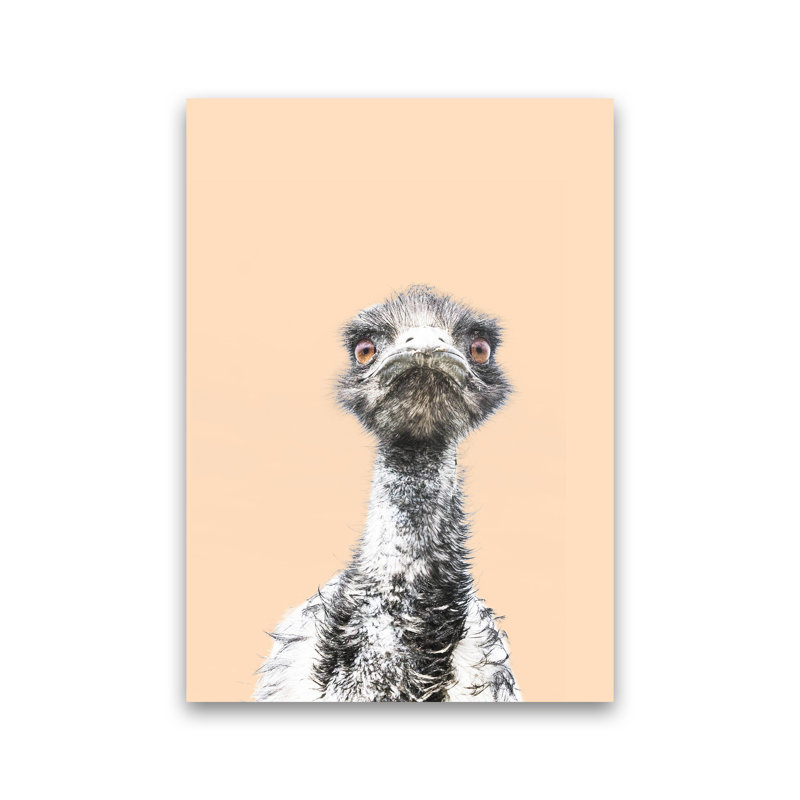 Orange Emu by Victoria Frost - Print, Unframed, 42cm H x 30cm W x 1cm D