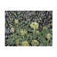 Artichauts et olives-833076924