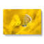 Yellow Butterfly in Abstract - Wrapped Canvas-55302598
