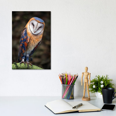 Cute Owl by Ben Heine - Print on Canvas