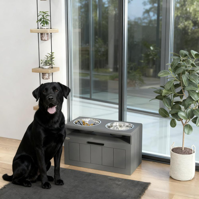Support à chien surélevé avec deux bols en acier inoxydable