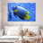 Brampt Coral Blue Angelfish-107855058