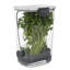 12 oz. Contenant alimentaire