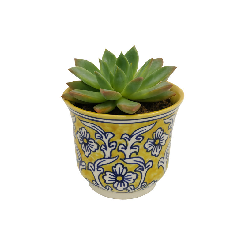 Home&Manor Ceramic Planter Yellow, Yellow