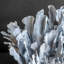 Genuine Blue Ridge Coral (18", 20.5 Lbs)