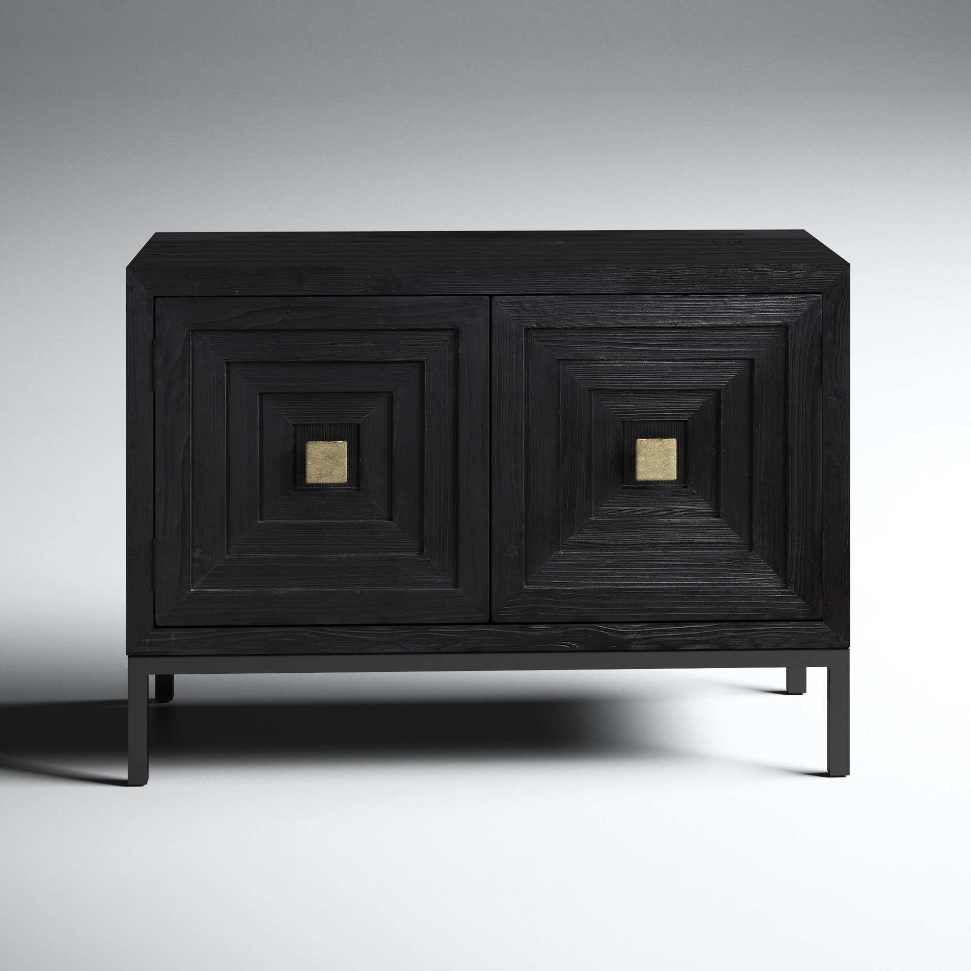 Delia 2 Door Storage Cabinet
