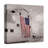 " Patriotic Barn "