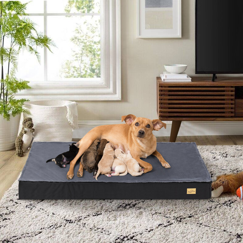 Orthopedic Pet Bed, 10cm H x 120cm W x 75cm D