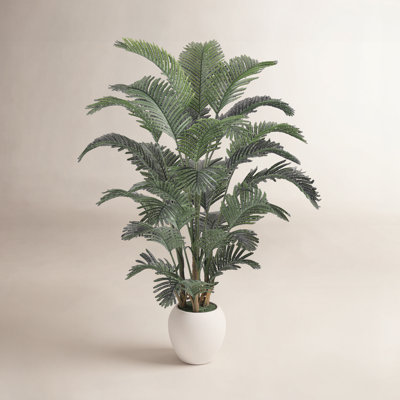 Moreell Palm Tree Plant in Pot