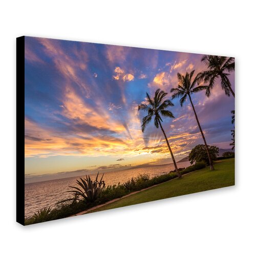 Wayfair | Hawaii Wall Art You'll Love in 2023