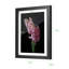 Cadre photo simple en bois-1413890405-1413890331