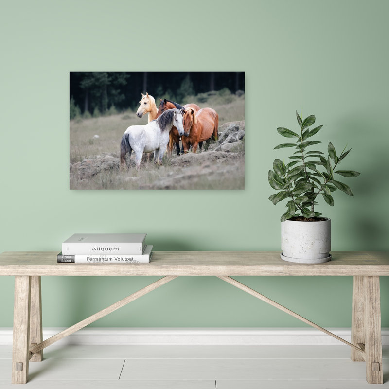 Print, 40.64cm H x 60.96cm W