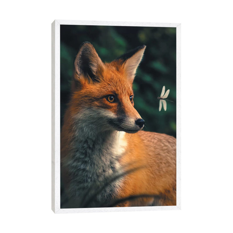 Fox Dragonfly by Zenja Gammer - Print on Canvas, 66.04 cm H x 45.72 cm W, White Framed