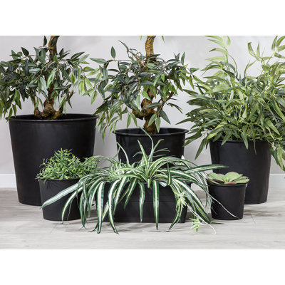 Cousteau Self-Watering Plastic Indoor / Outdoor Pot Planter