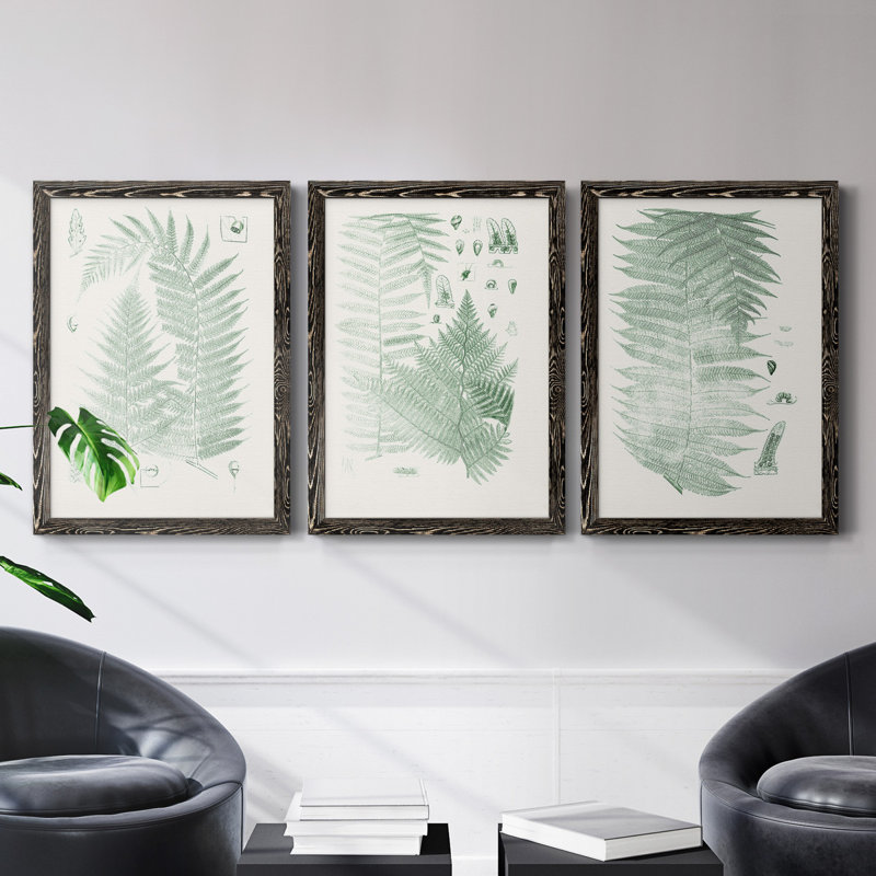 Verdure Ferns IV - ensemble de 3 peintures sur toile encadrées, H 37,5 po x l 82,5 po x P 1,5 po, Toile avec cadre noir