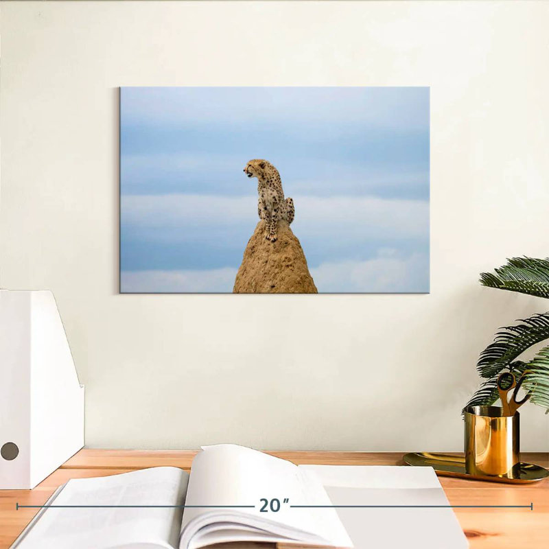 Scouting Wild Cat, 8" H x 12" W