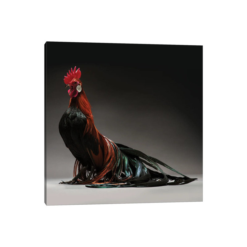Phoenix by CHICken - Wrapped Canvas Print, 30.48 cm H x 30.48 cm W