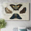 «Crackled Butterflies IV», toile tendue avec châssis-80238499