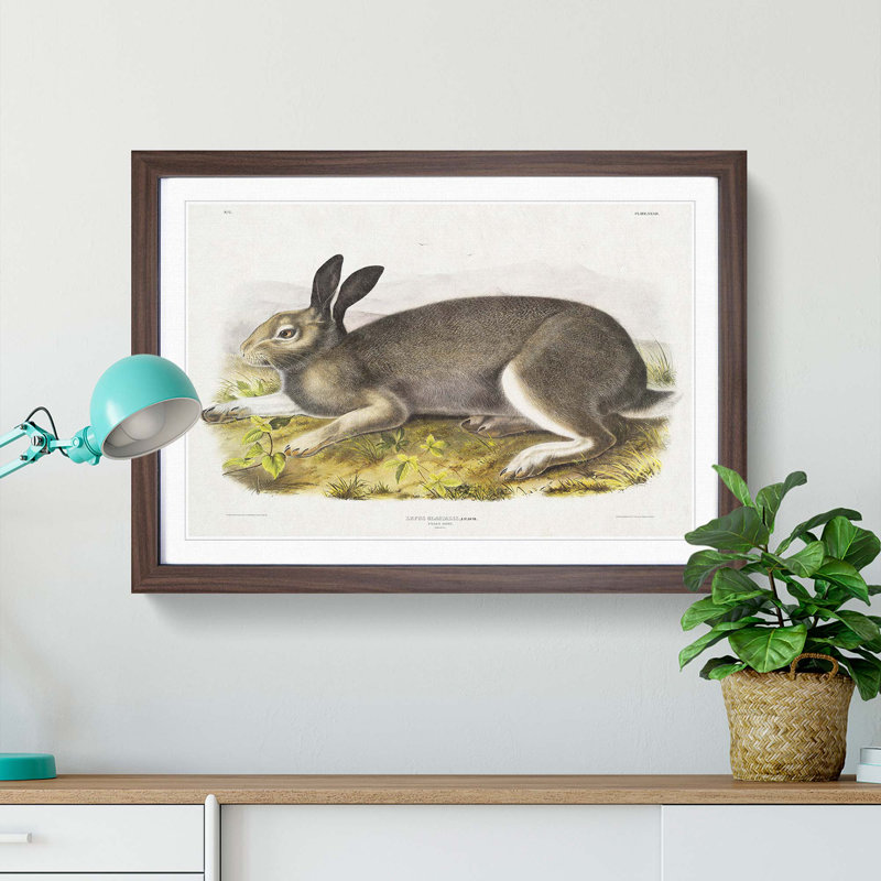 Polar Hare by J.W. Audubon - Picture Frame Painting Print, 36cm H x 48cm W x 2cm D, Walnut Framed