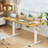 Putnam Height Adjustable Standing Desks-194064659-194064657
