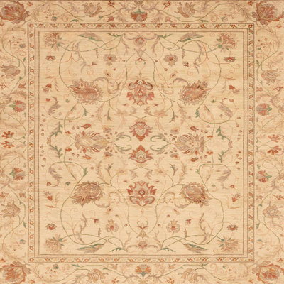 Oriental Indoor Rug