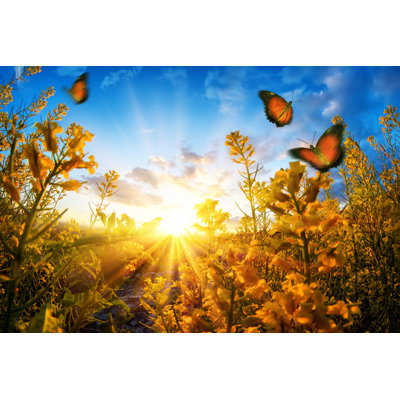Seine Sunset And Butterflies - Wrapped Canvas Print