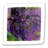 " Lavender Water Lillies " by Claude Monet-510739160
