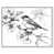 Cadre blanc