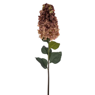 Hydrangea Stem