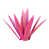 Rose est en rupture de stock