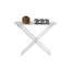 Table de plateau pliante en plastique Larkin