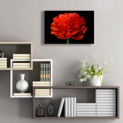 " Red Flower On Black 04 " by Tom Quartermaine