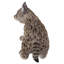 Statue de lynx chaton