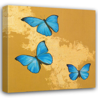 Cerulean Butterfly II