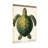 Animals Green Sea Turtle Art Print Pattern